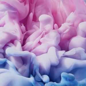 Meet your Posher, Tessa